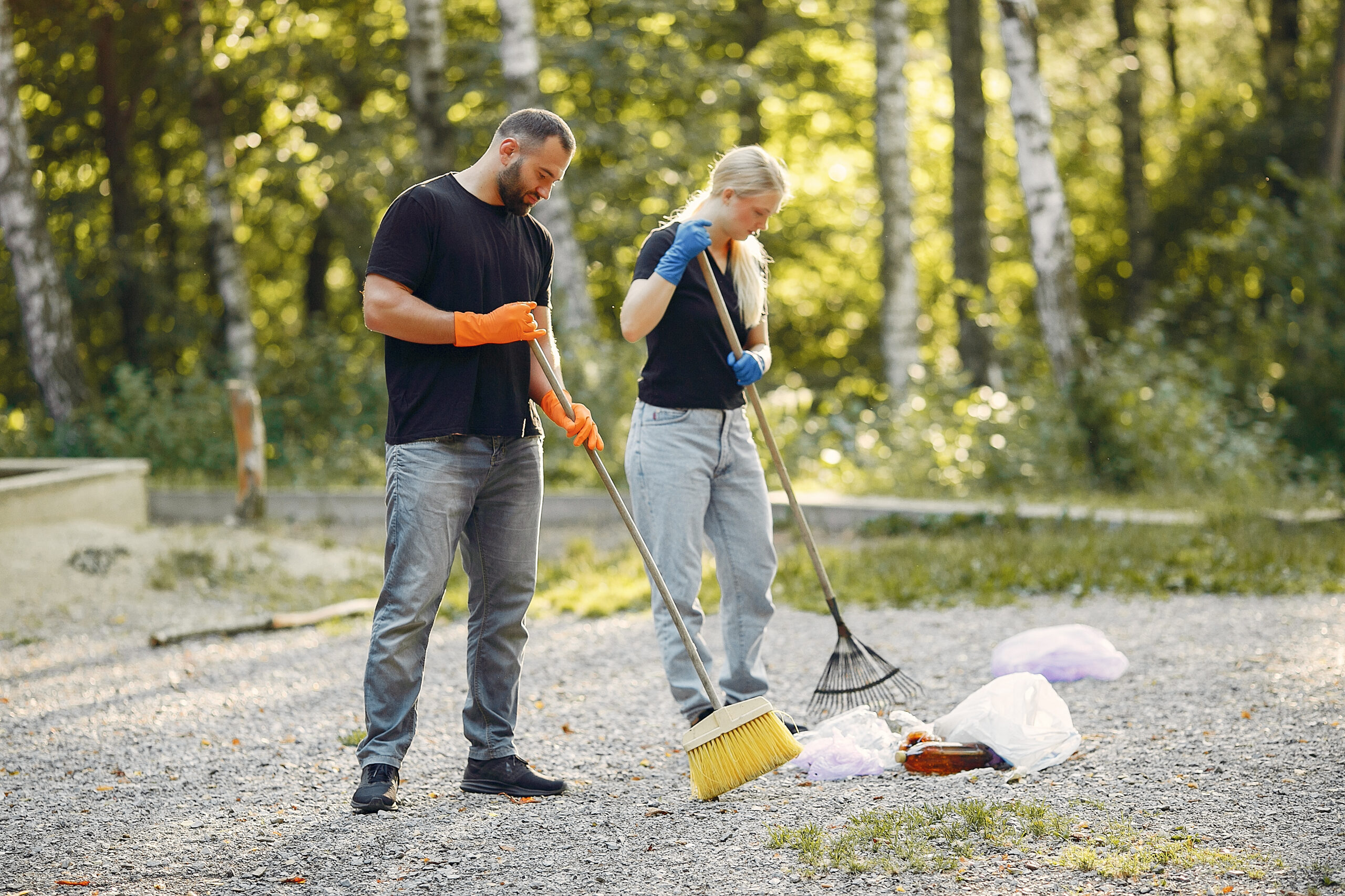 Spring Clean Up